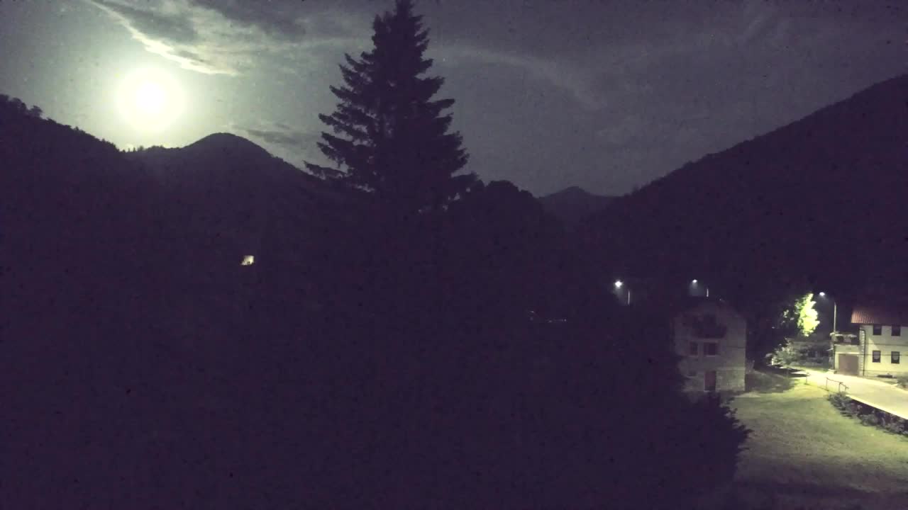 Webcam Loqua / Lokve – La bellezza della selva di Tarnova