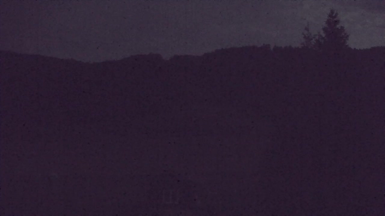 Webcam Lokve – La beauté de la forêt de Trnovo