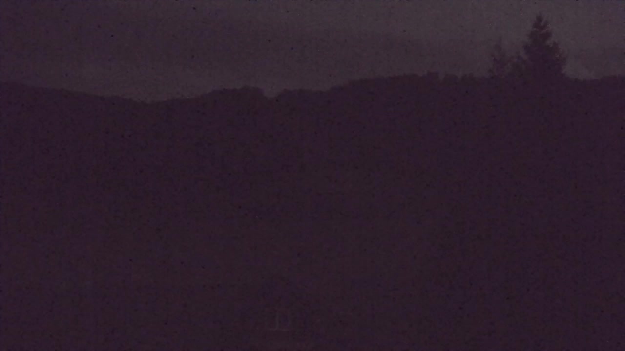 Webcam Loqua / Lokve – La bellezza della selva di Tarnova