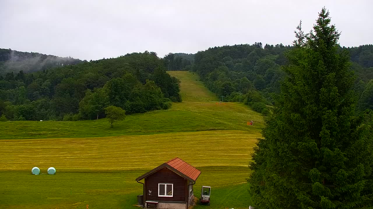 Webcam Loqua / Lokve – La bellezza della selva di Tarnova