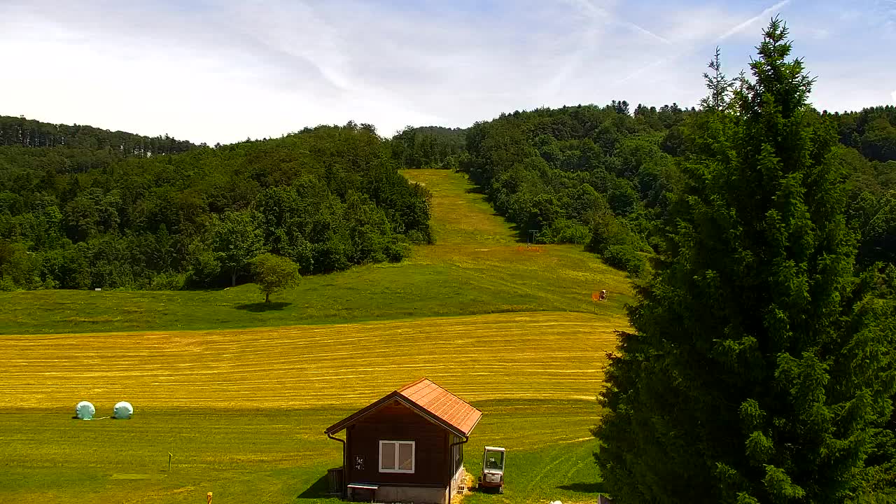 Webcam Lokve – The beauty of the Trnovo forest