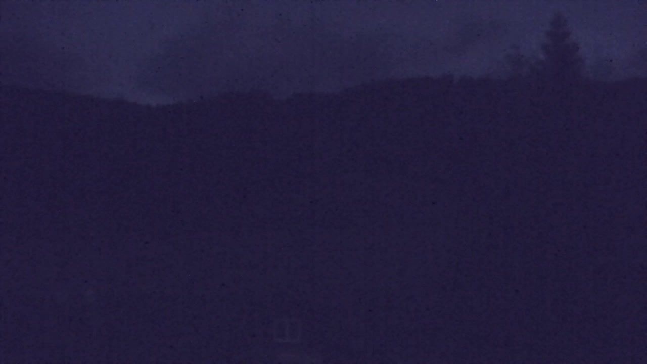 Webcam Lokve – Die Schönheit des Trnovo-Waldes