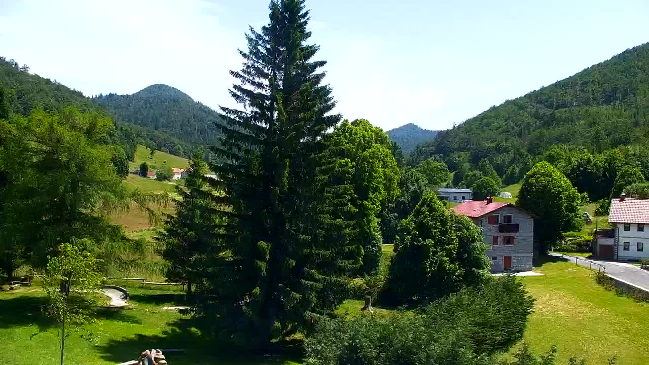 Camera en vivo Lokve – La belleza del bosque de Trnovo