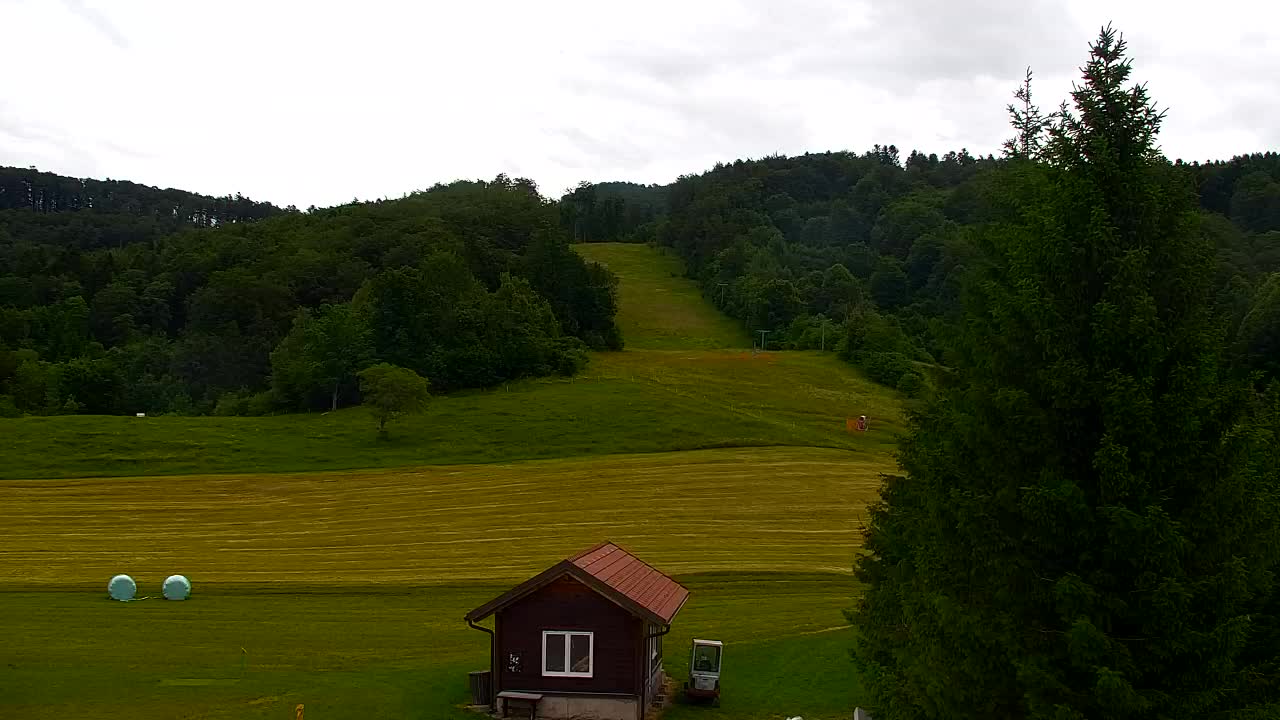 Webcam Loqua / Lokve – La bellezza della selva di Tarnova