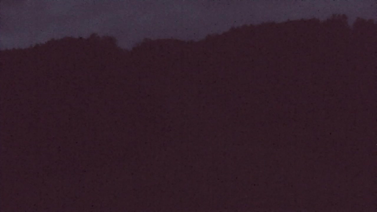 Webcam Lokve – La beauté de la forêt de Trnovo