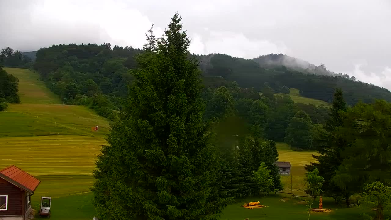 Camera en vivo Lokve – La belleza del bosque de Trnovo