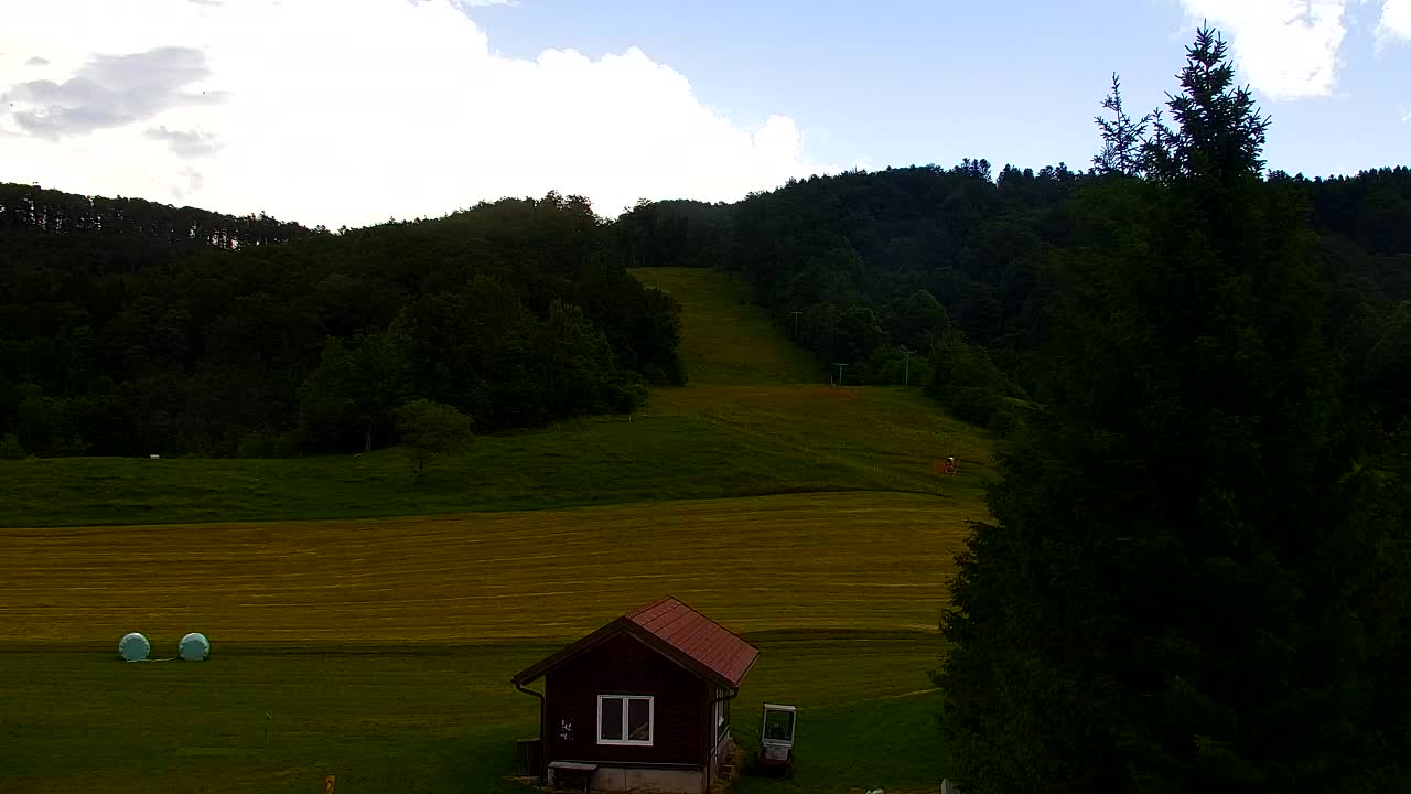 Webcam Loqua / Lokve – La bellezza della selva di Tarnova