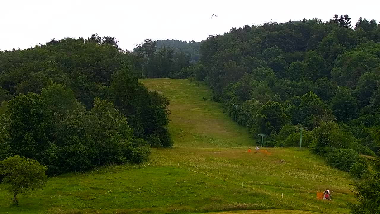 Webcam Lokve – La beauté de la forêt de Trnovo