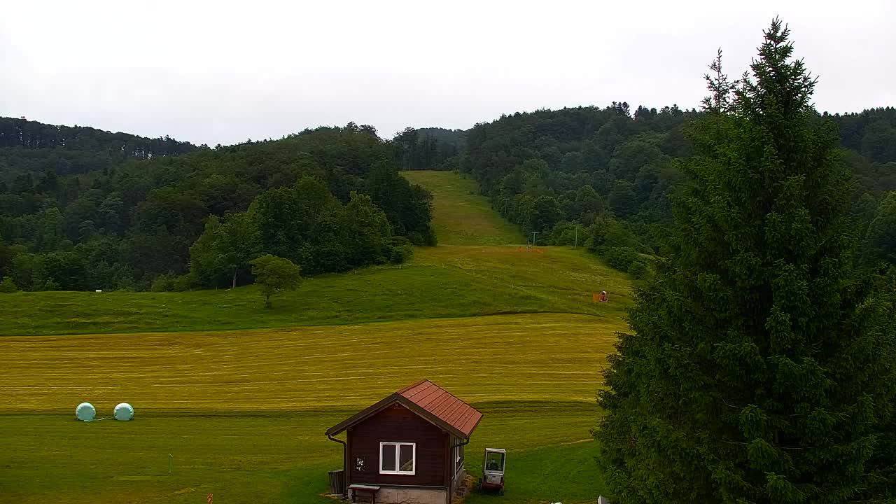 Webcam Lokve – La beauté de la forêt de Trnovo