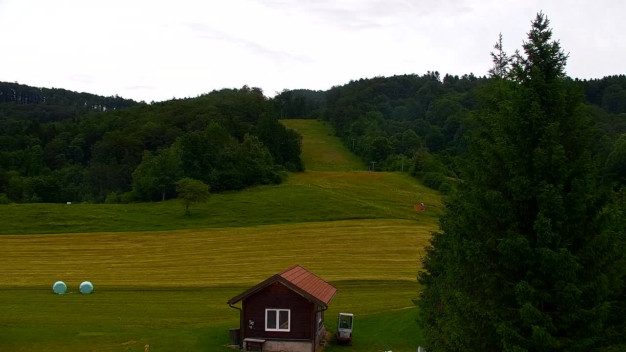 Webcam Lokve – The beauty of the Trnovo forest