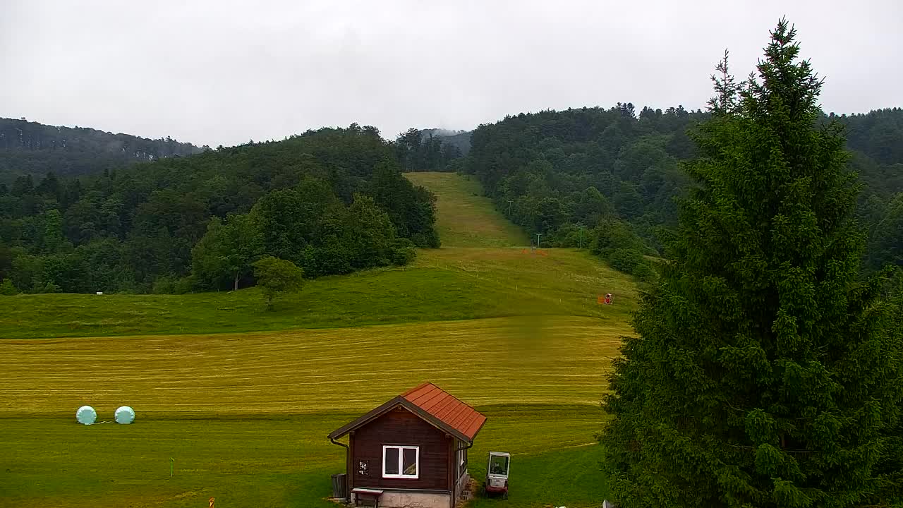 Webcam Lokve – Die Schönheit des Trnovo-Waldes