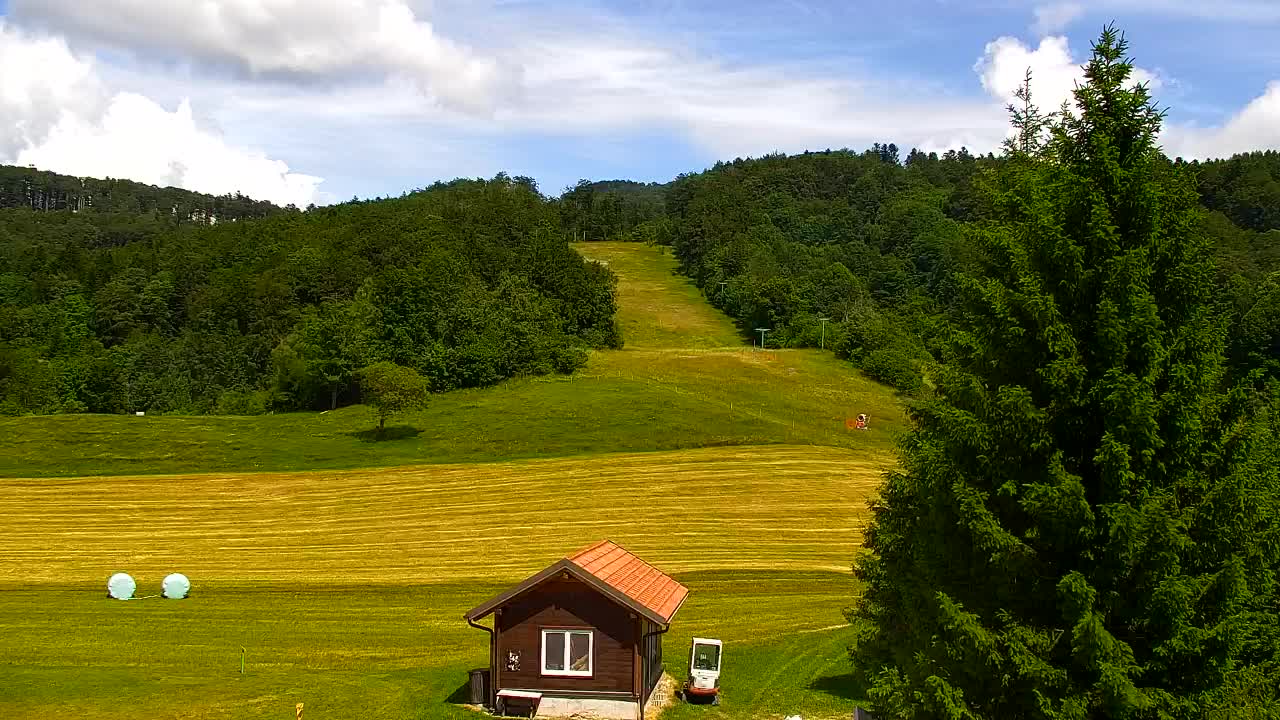 Camera en vivo Lokve – La belleza del bosque de Trnovo