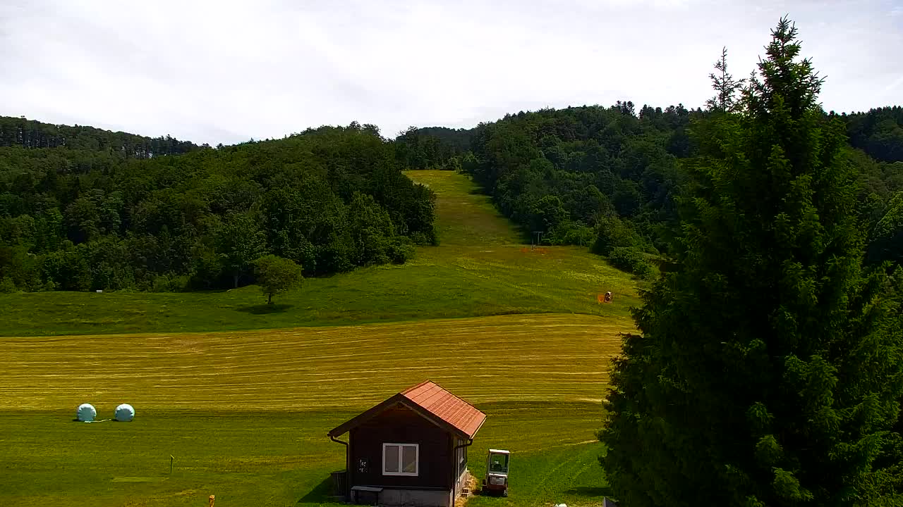 Webcam Lokve – The beauty of the Trnovo forest