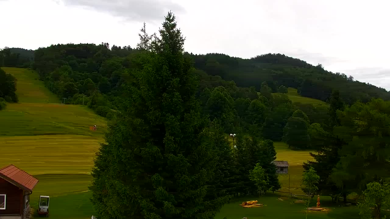 Webcam Lokve – The beauty of the Trnovo forest