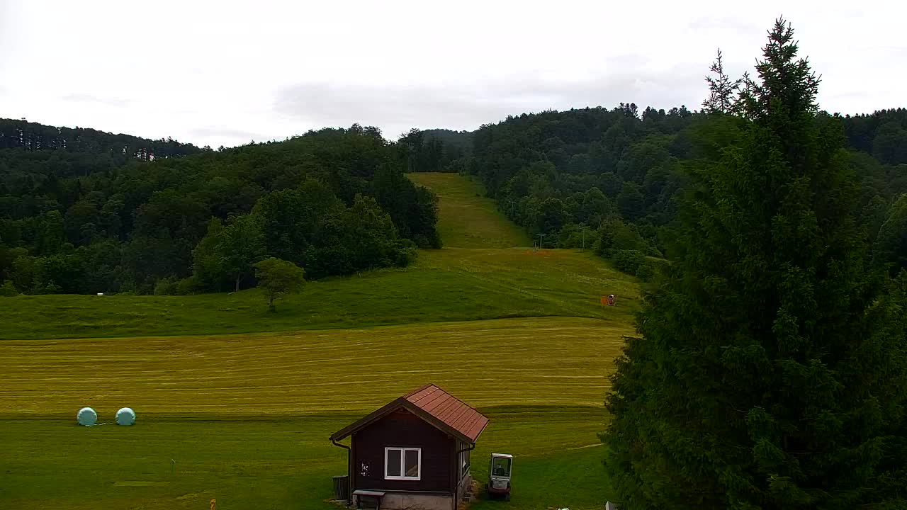 Webcam Lokve – La beauté de la forêt de Trnovo