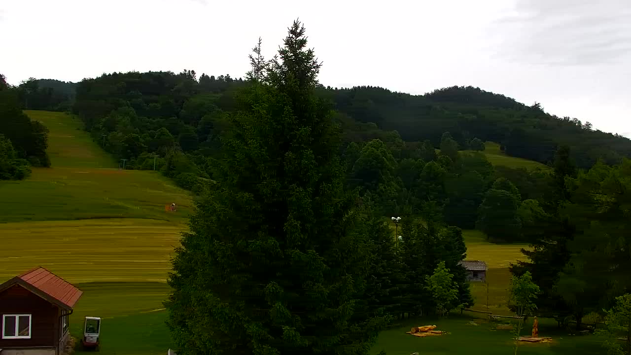 Webcam Lokve – La beauté de la forêt de Trnovo