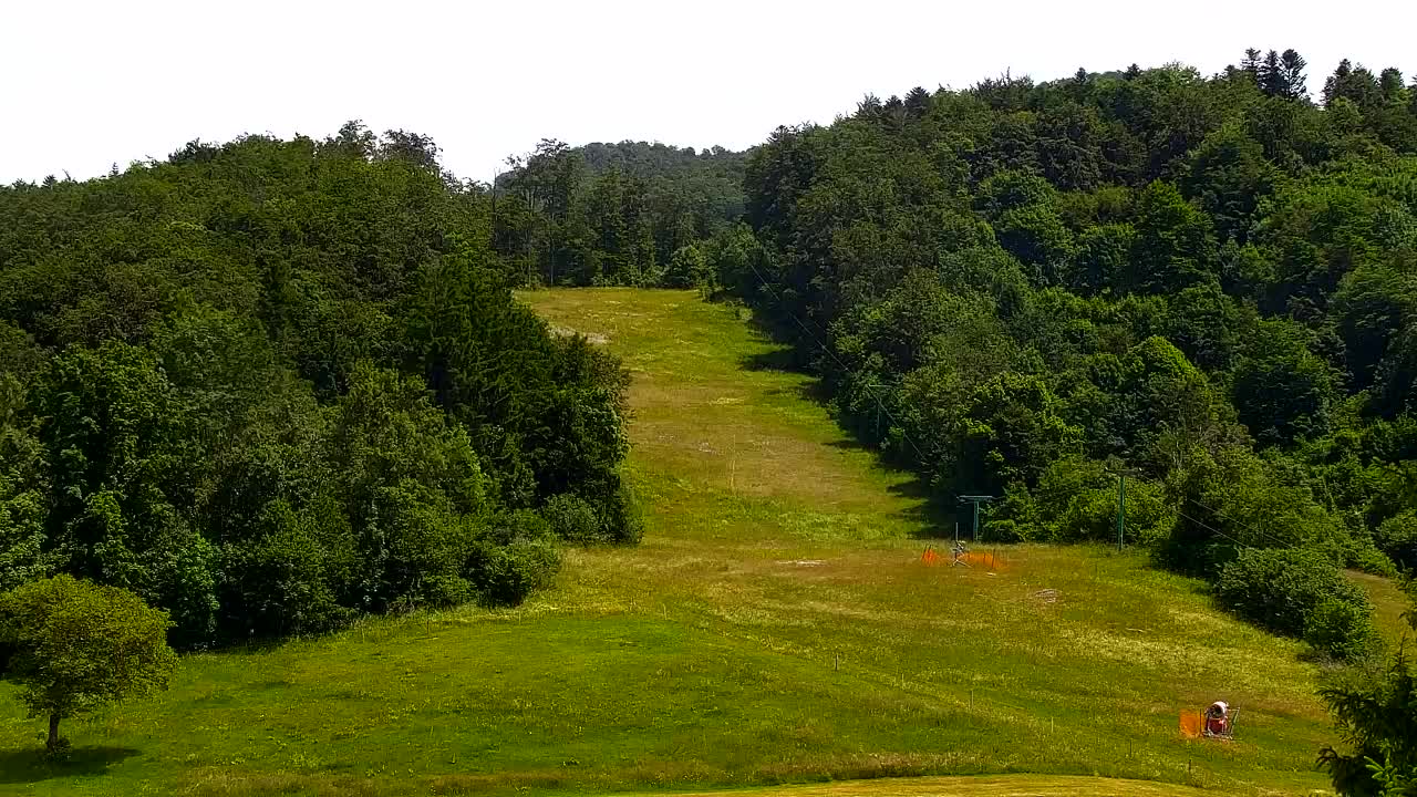 Webcam Lokve – La beauté de la forêt de Trnovo