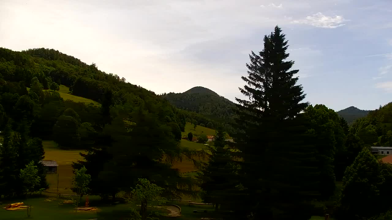 Webcam Lokve – La beauté de la forêt de Trnovo