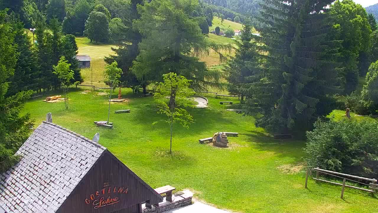 Webcam Loqua / Lokve – La bellezza della selva di Tarnova