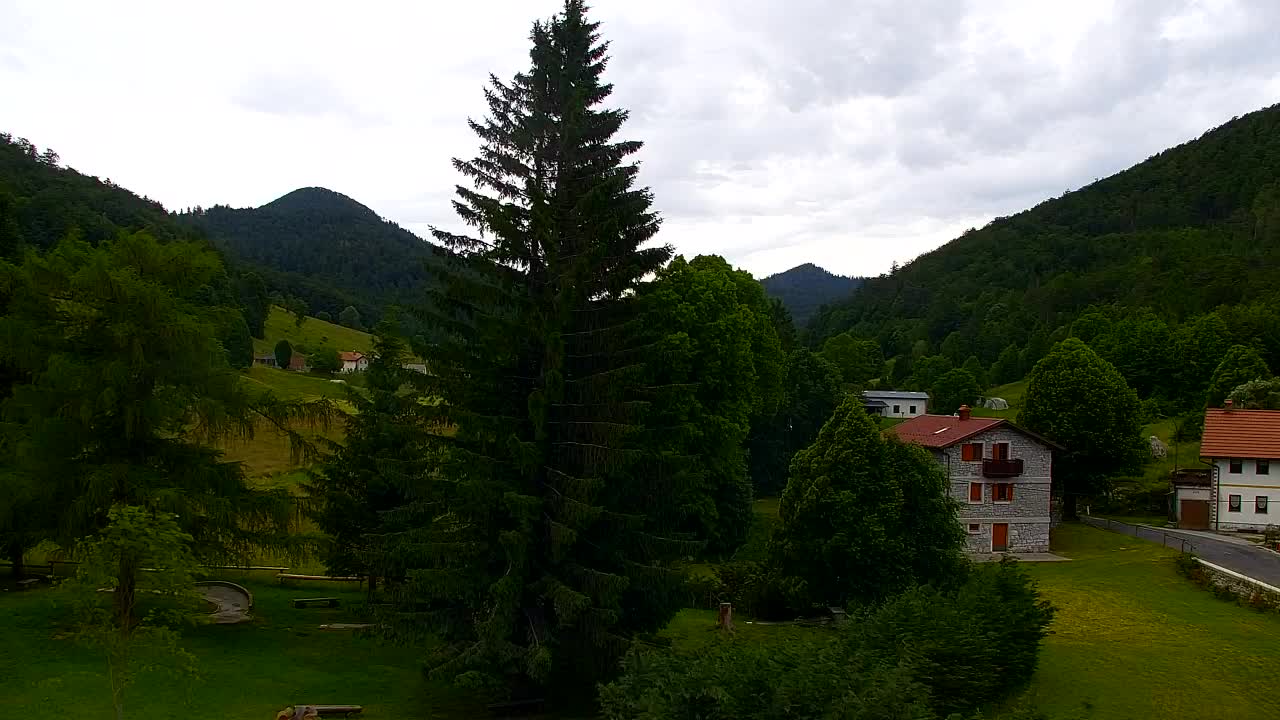 Webcam Lokve – La beauté de la forêt de Trnovo