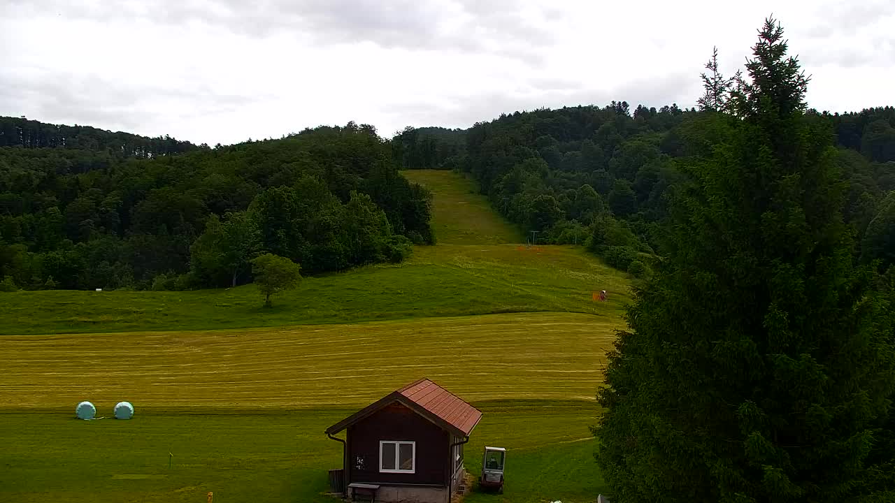 Webcam Lokve – La beauté de la forêt de Trnovo