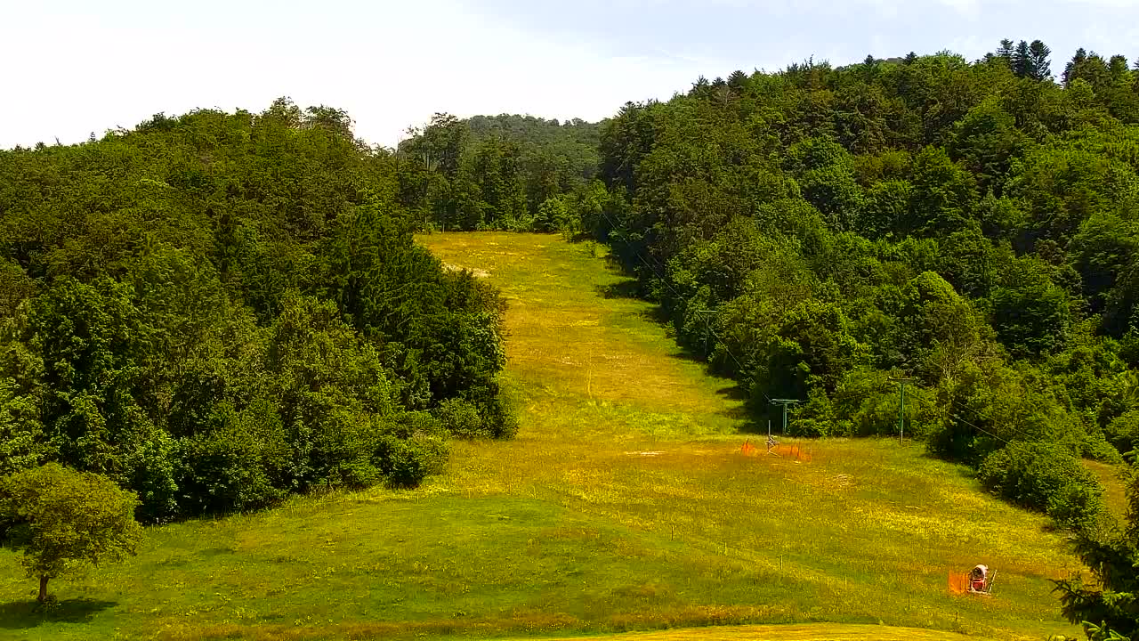 Webcam Lokve – The beauty of the Trnovo forest