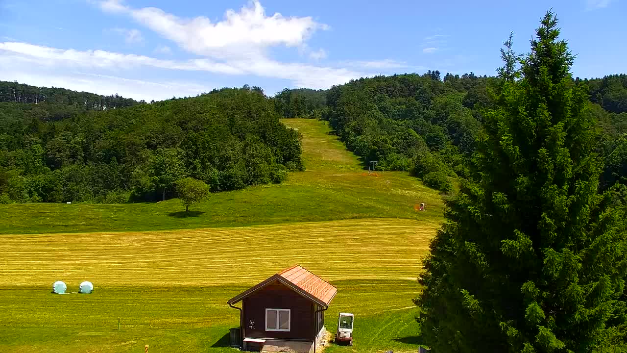 Webcam Lokve – Die Schönheit des Trnovo-Waldes