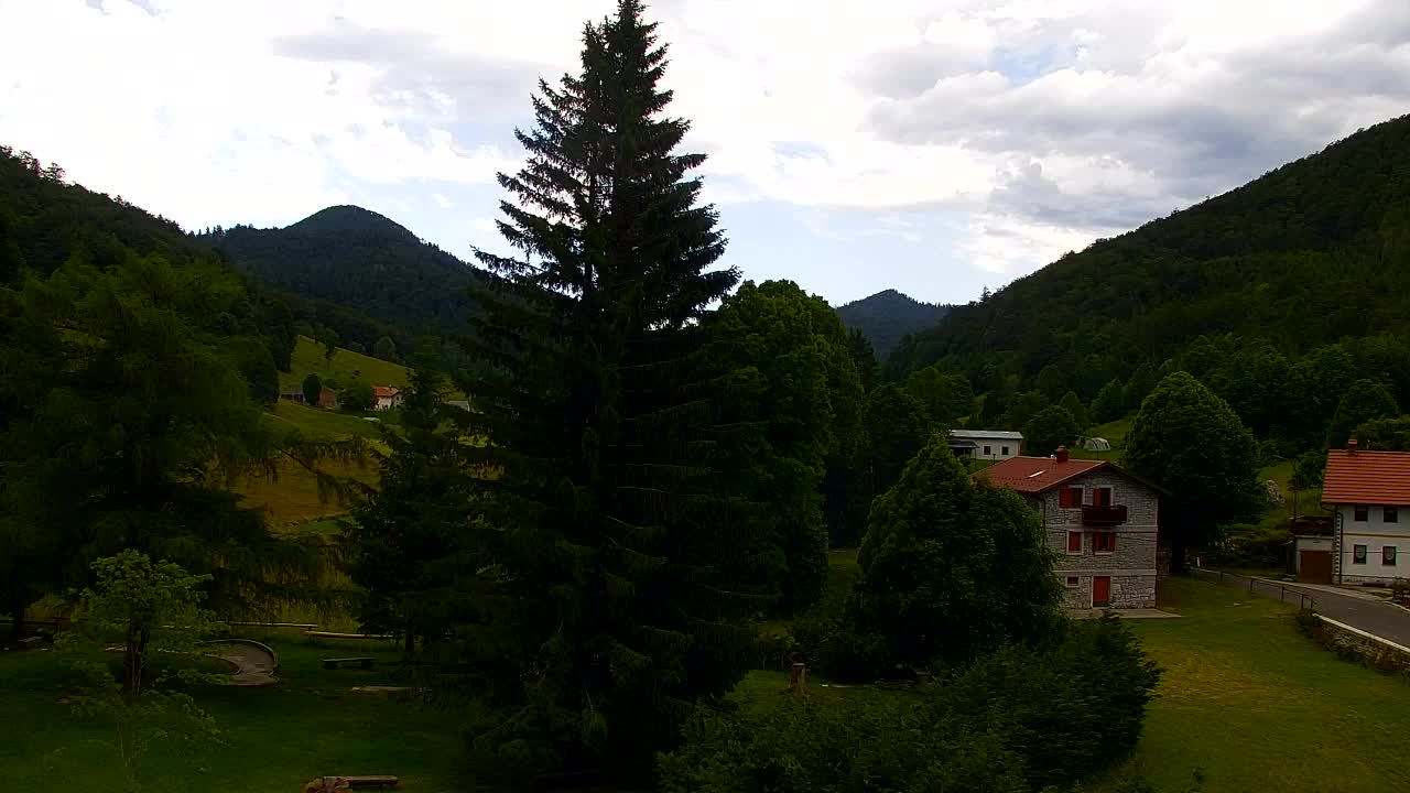 Webcam Lokve – La beauté de la forêt de Trnovo