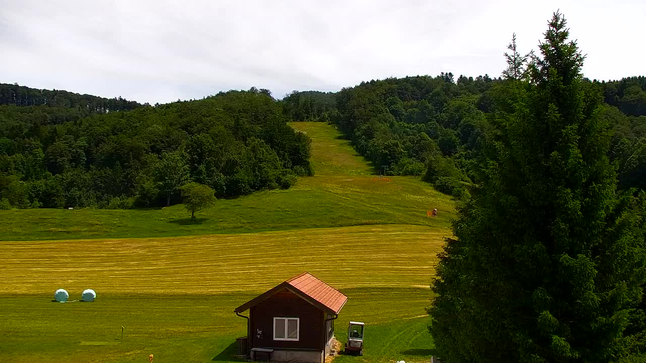Webcam Lokve – Die Schönheit des Trnovo-Waldes