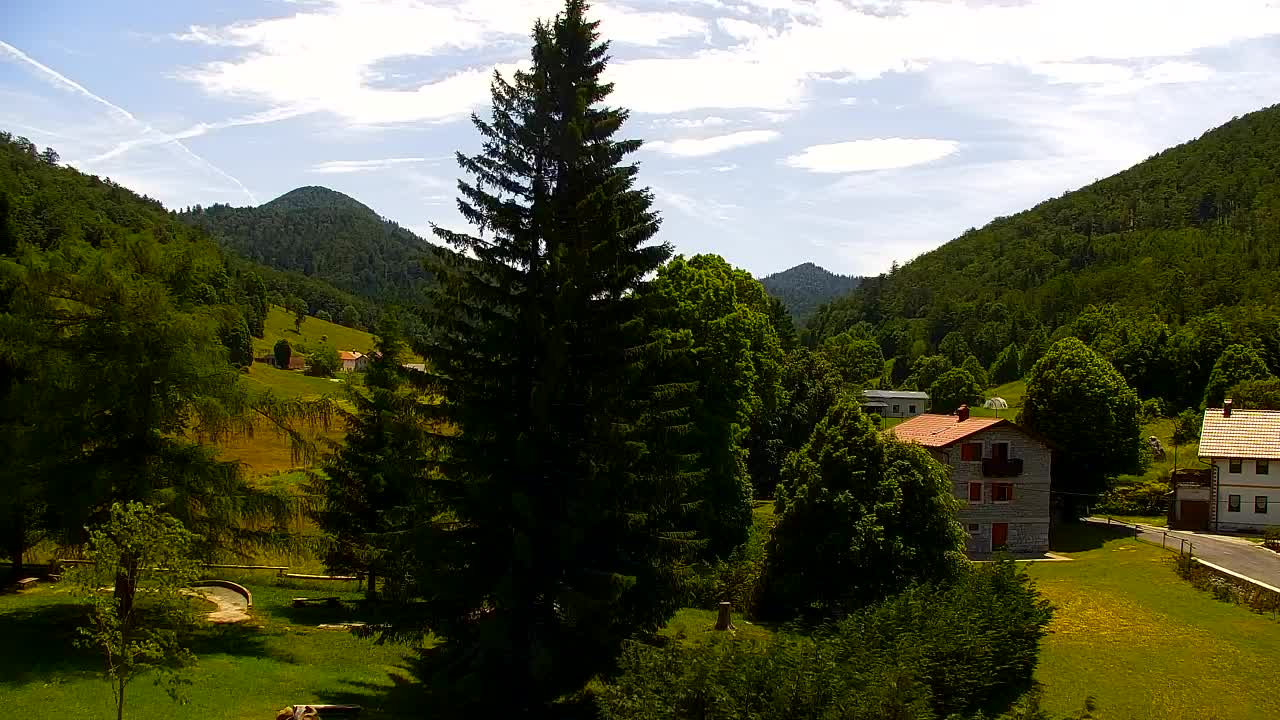 Webcam Loqua / Lokve – La bellezza della selva di Tarnova