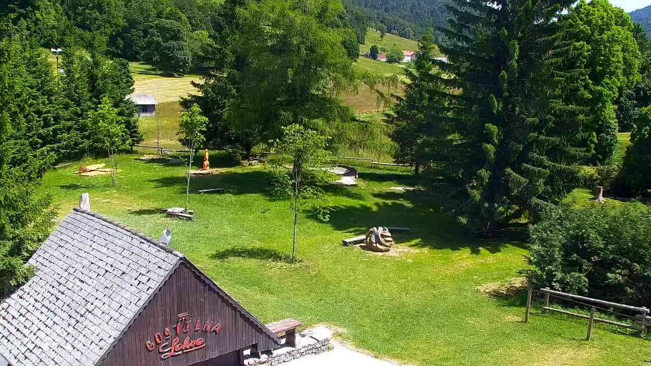 Webcam Loqua / Lokve – La bellezza della selva di Tarnova