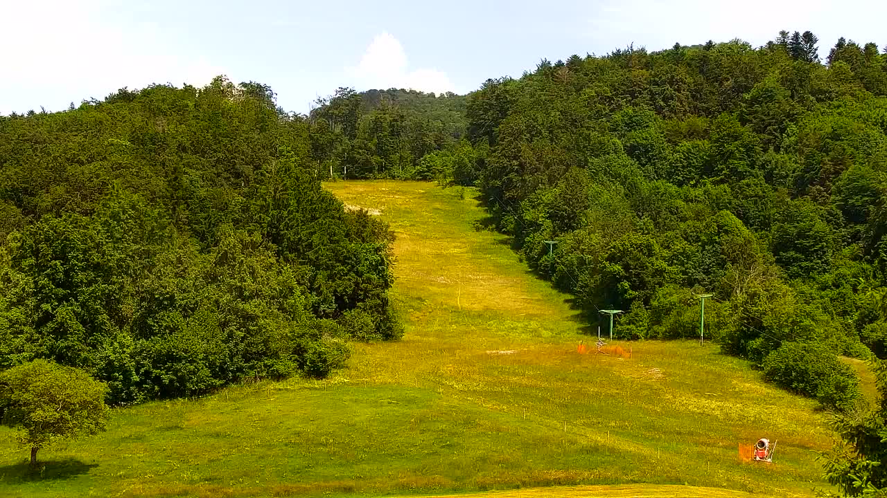 Webcam Loqua / Lokve – La bellezza della selva di Tarnova