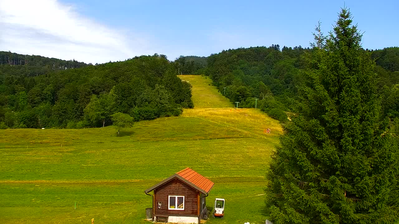 Webcam Lokve – Die Schönheit des Trnovo-Waldes