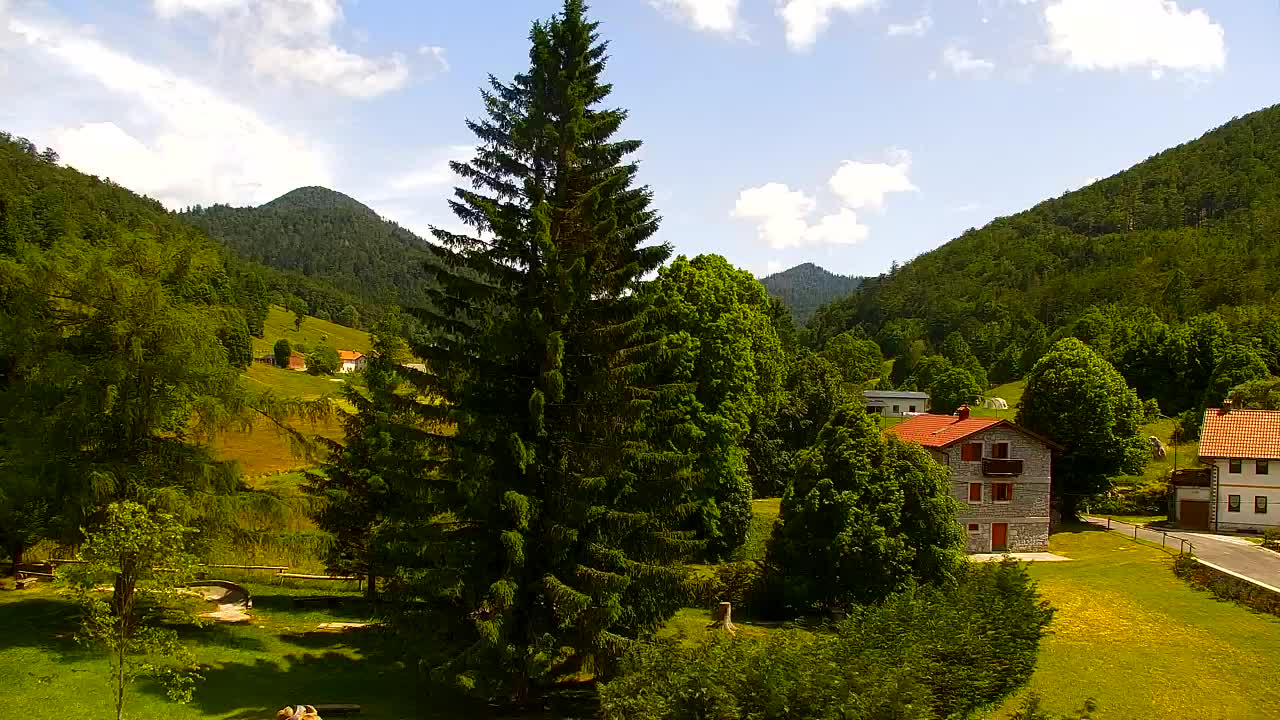 Webcam Lokve – La beauté de la forêt de Trnovo