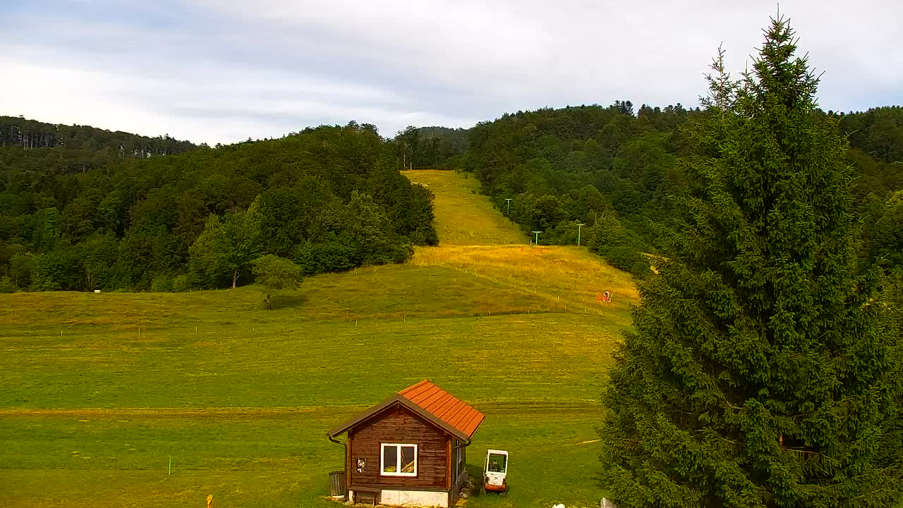 Webcam Lokve – The beauty of the Trnovo forest