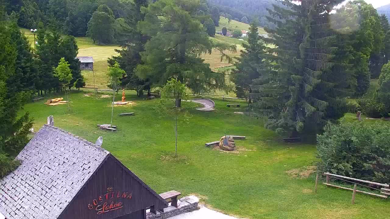 Webcam Lokve – The beauty of the Trnovo forest
