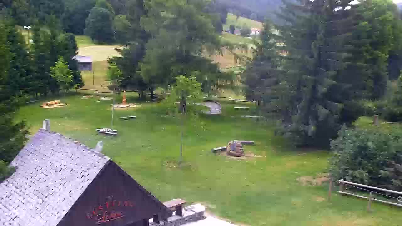 Webcam Loqua / Lokve – La bellezza della selva di Tarnova