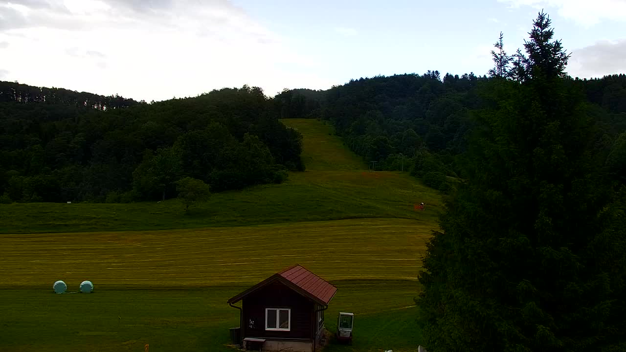Webcam Loqua / Lokve – La bellezza della selva di Tarnova