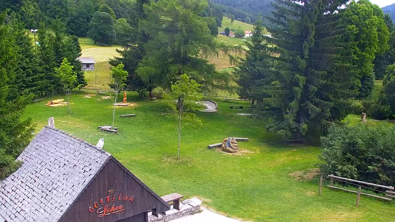 Webcam Lokve – La beauté de la forêt de Trnovo