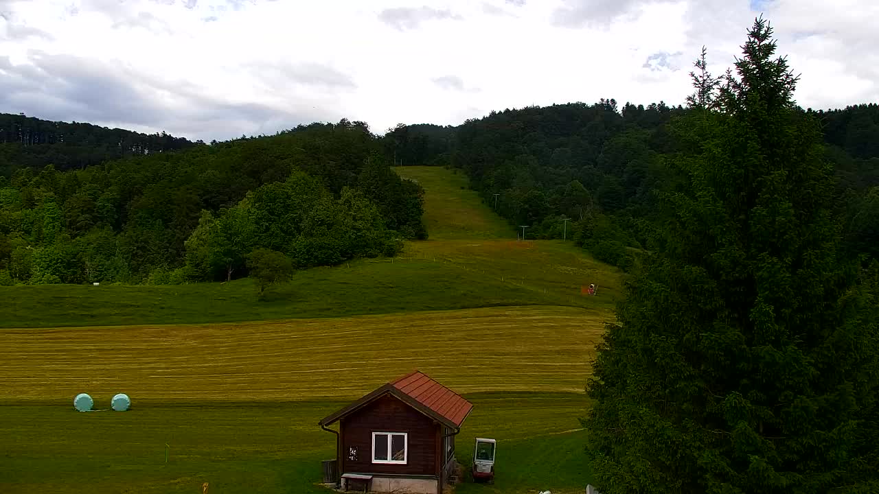 Webcam Lokve – La beauté de la forêt de Trnovo