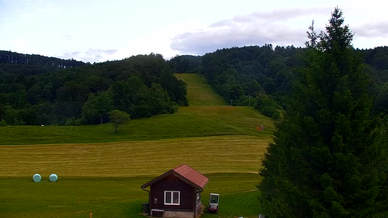 Webcam Loqua / Lokve – La bellezza della selva di Tarnova