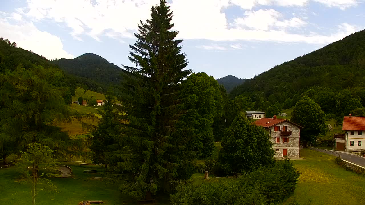 Webcam Loqua / Lokve – La bellezza della selva di Tarnova