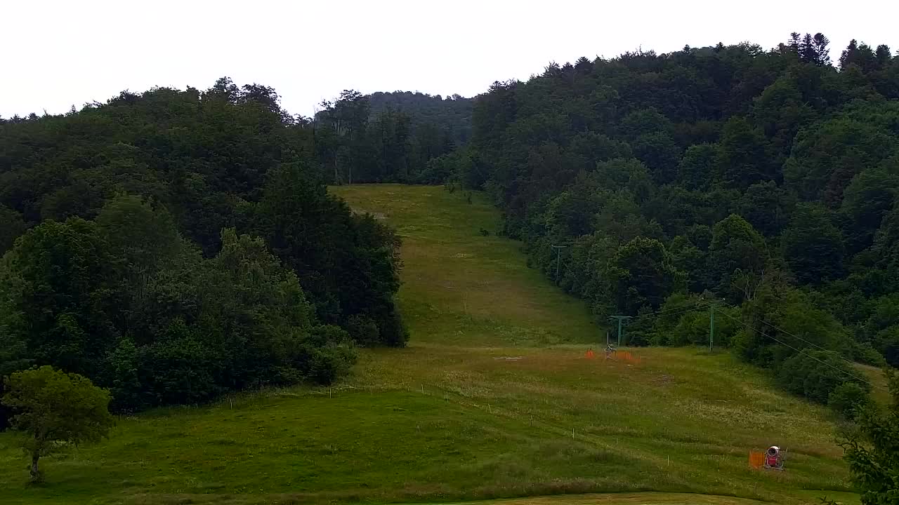 Webcam Loqua / Lokve – La bellezza della selva di Tarnova