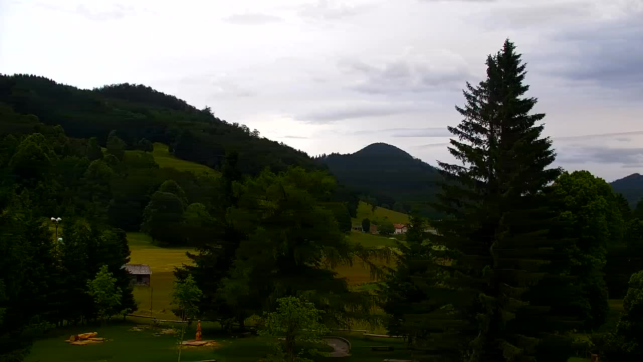 Webcam Lokve – La beauté de la forêt de Trnovo