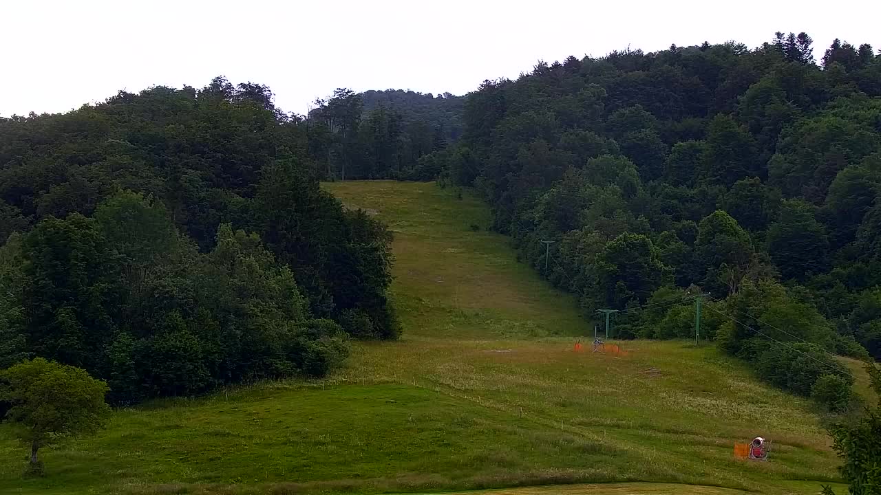Webcam Lokve – The beauty of the Trnovo forest