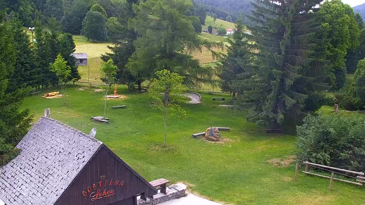 Webcam Lokve – La beauté de la forêt de Trnovo