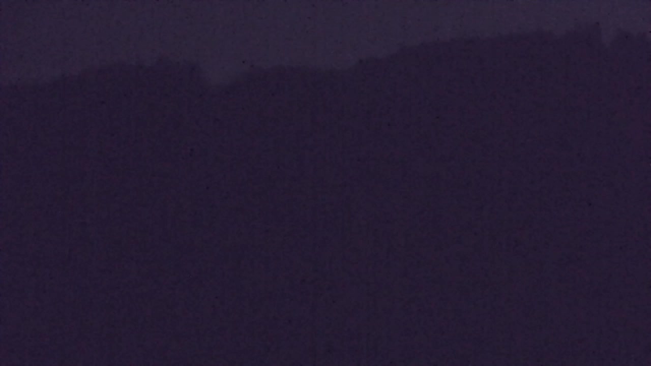 Webcam Lokve – The beauty of the Trnovo forest