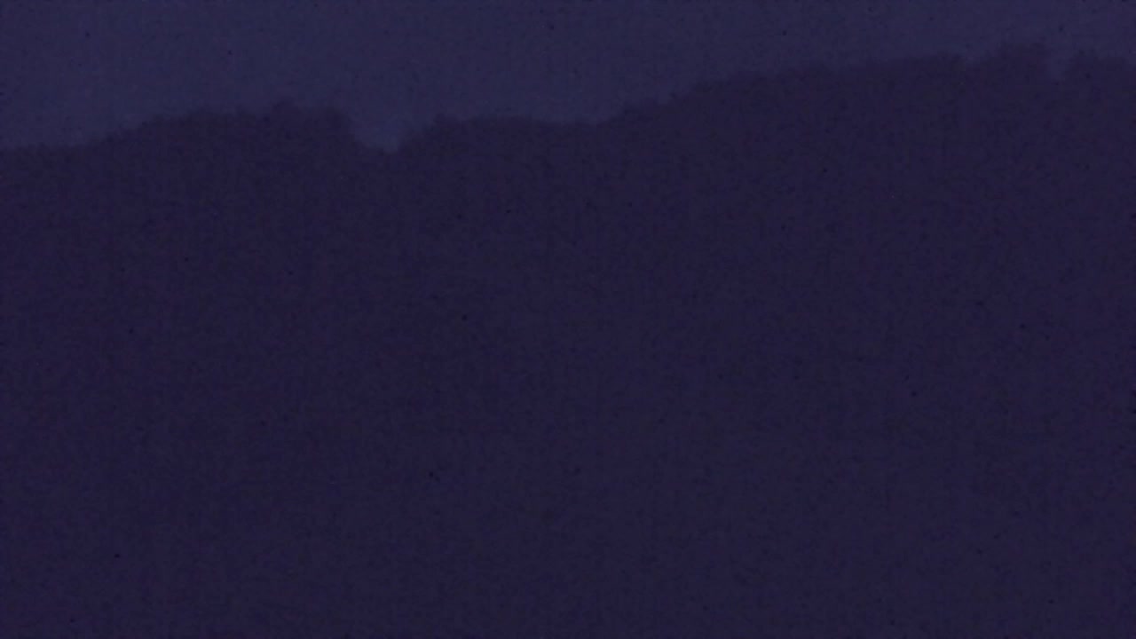 Webcam Loqua / Lokve – La bellezza della selva di Tarnova