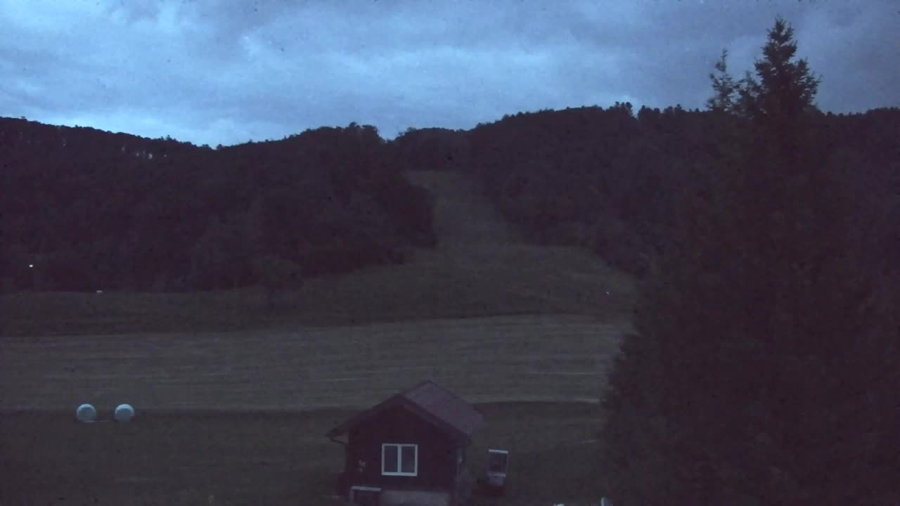 Webcam Loqua / Lokve – La bellezza della selva di Tarnova