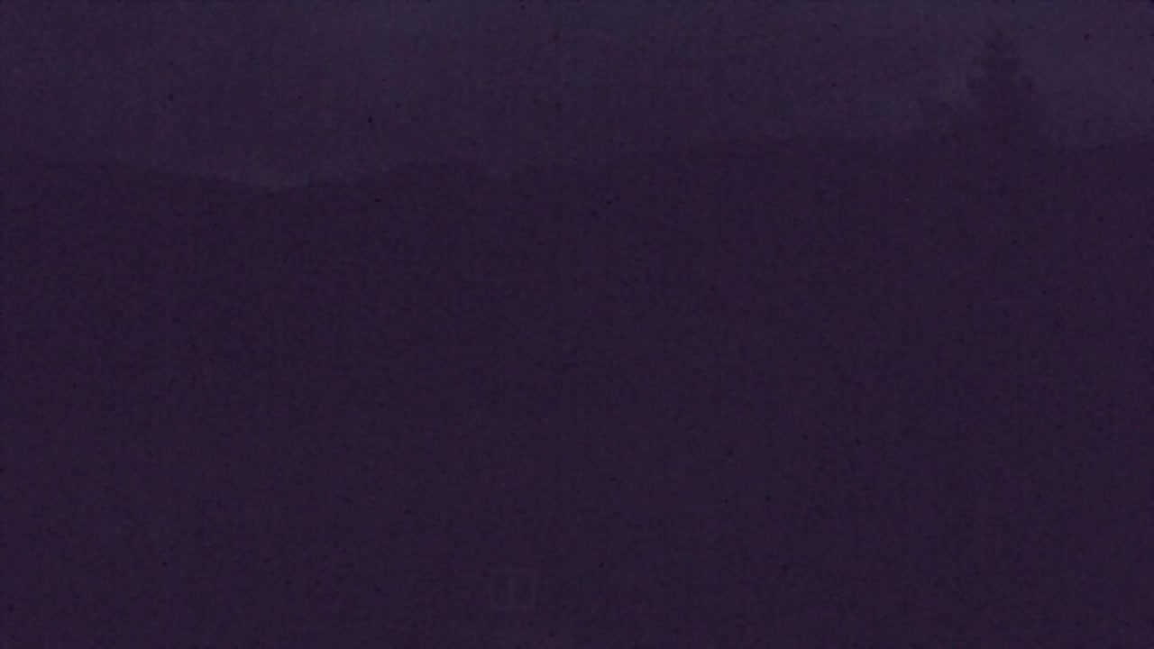 Webcam Lokve – The beauty of the Trnovo forest